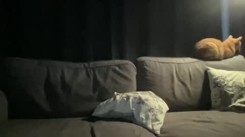 Snapshot of bllyidol chatting on November 2025 06:46:02 AM BlIdoL online show from November 2025 06:46:02 AM