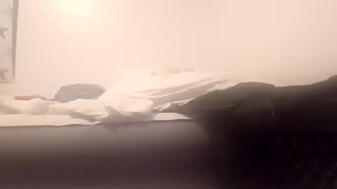 Mark online show from December 2024 12:19:02 PM