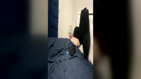 blowjobblondie online show from June 2026 06:27:02 AM
