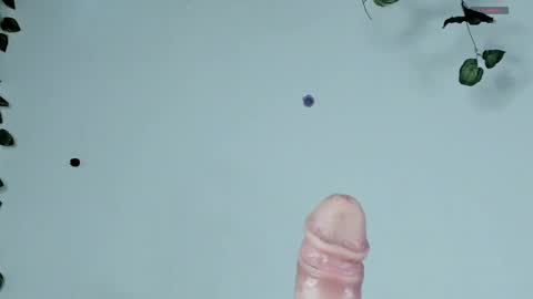 Sophie  online show from April 2026 09:42:02 PM