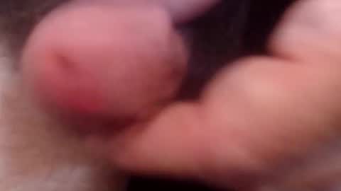 bobswan online show from October 2025 06:52:01 PM