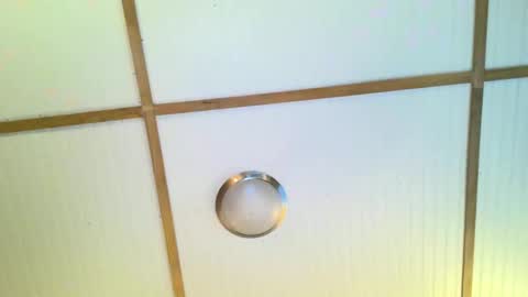 Snapshot of bodacioustits chatting on November 2025 07:22:01 AM bodacioustits online show from November 2025 07:22:01 AM