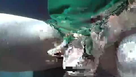 Snapshot of bogey58 chatting on December 2024 02:09:01 PM bogey58 online show from December 2024 02:09:01 PM