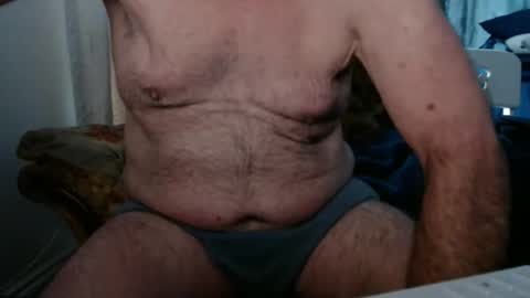 bolbil1 online show from February 2026 02:05:01 PM