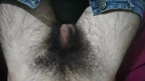 Snapshot of bomvemcam chatting on April 2026 09:02:01 AM Im Bom - Tip if You Liked my Hairy Body - Private Show is Open - Read more about me in the bio below online show from April 2026 09:02:01 AM