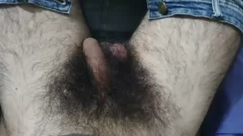 Snapshot of bomvemcam chatting on June 2026 07:39:01 AM Im Bom - Tip if You Liked my Hairy Body - Private Show is Open - Read more about me in the bio below online show from June 2026 07:39:01 AM