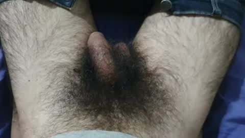 Snapshot of bomvemcam chatting on June 2026 08:41:01 AM Im Bom - Tip if You Liked my Hairy Body - Private Show is Open - Read more about me in the bio below online show from June 2026 08:41:01 AM