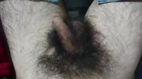 Snapshot of bomvemcam chatting on July 2026 07:23:02 AM Im Bom - Tip if You Liked my Hairy Body - Private Show is Open - Read more about me in the bio below online show from July 2026 07:23:02 AM