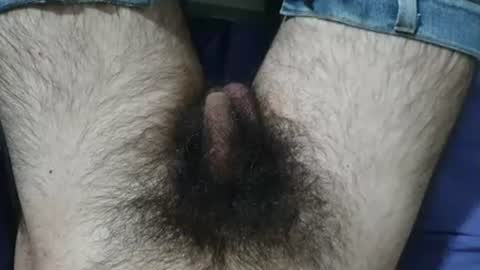 Snapshot of bomvemcam chatting on July 2026 09:25:01 AM Im Bom - Tip if You Liked my Hairy Body - Private Show is Open - Read more about me in the bio below online show from July 2026 09:25:01 AM
