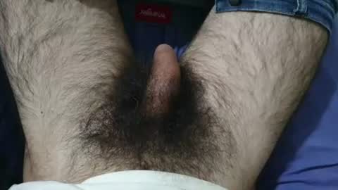 Snapshot of bomvemcam chatting on August 2026 08:24:01 AM Im Bom - Tip if You Liked my Hairy Body - Private Show is Open - Read more about me in the bio below online show from August 2026 08:24:01 AM