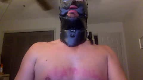 Snapshot of bondageguy12 chatting on December 2024 10:23:02 PM Bondage lover online show from December 2024 10:23:02 PM