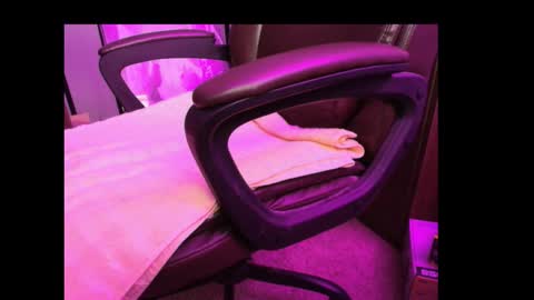 Snapshot of bonerboy765 chatting on March 2026 03:11:01 AM Grizz online show from March 2026 03:11:01 AM