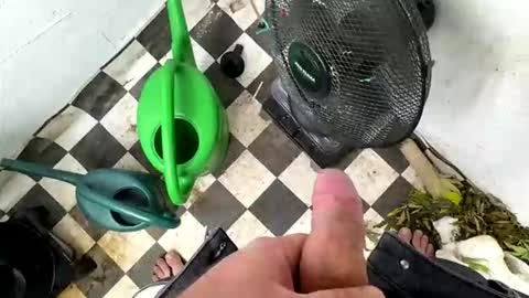 bonershot online show from March 2026 05:39:02 PM