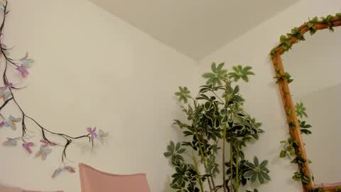 Snapshot of bonniecute_ chatting on November 2025 11:51:01 PM online show from November 2025 11:51:01 PM