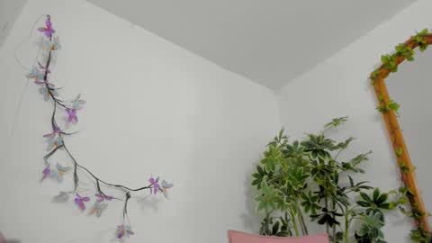   online show from February 2026 12:53:01 AM