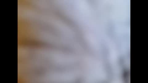 Snapshot of bonop1 chatting on January 2025 01:59:01 PM bonop1 online show from January 2025 01:59:01 PM