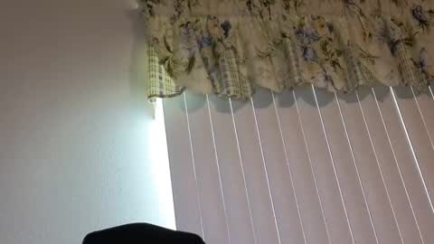 sissy slut boobi online show from April 2026 10:01:02 PM