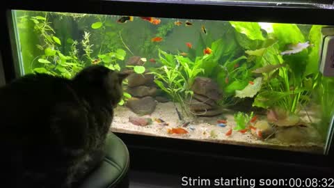 Booker Baxton online show from December 2025 03:59:02 AM