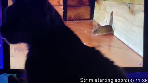 Booker Baxton online show from February 2026 03:59:02 AM