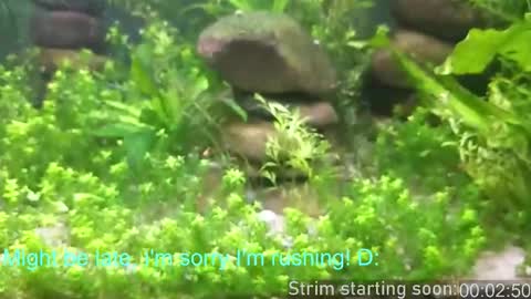 Booker Baxton online show from February 2026 04:08:02 AM