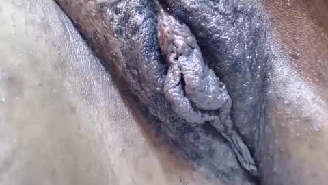 Snapshot of bootybounce4 chatting on December 2024 12:34:01 AM bootybounce4 online show from December 2024 12:34:01 AM