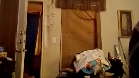 boredaf6678 online show from November 2025 11:59:01 PM