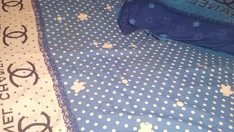 bossetassy online show from April 2026 05:17:01 PM