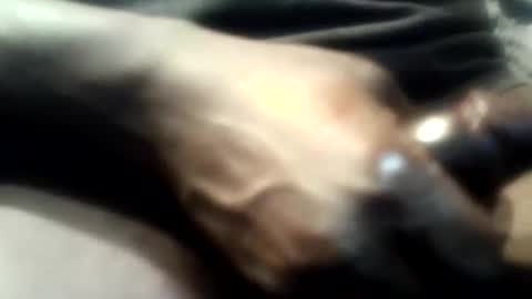 botofogo online show from December 2025 05:12:02 AM