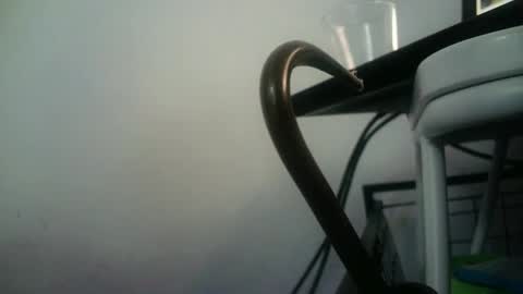 BottoMMlad online show from January 2025 04:39:01 PM