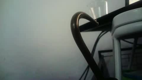 BottoMMlad online show from January 2025 08:01:01 PM