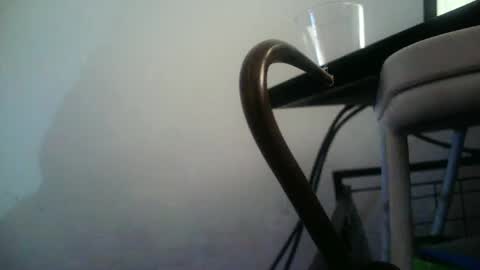 BottoMMlad online show from January 2025 12:38:01 AM