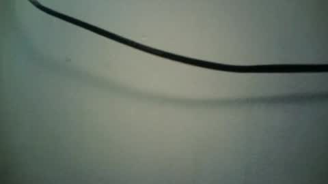 BottoMMlad online show from January 2025 07:37:02 AM