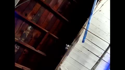 bouncr714 online show from February 2026 07:46:01 PM