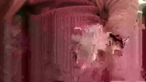 bowieboy online show from November 2025 12:37:02 PM