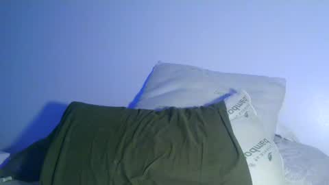 Snapshot of bowser2334 chatting on December 2024 04:20:02 AM Jason Jax online show from December 2024 04:20:02 AM