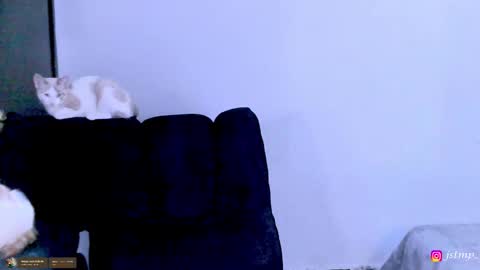 miguel  online show from November 2025 03:06:02 AM