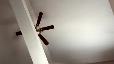 Snapshot of boysetsfire34 chatting on November 2025 05:23:02 PM boysetsfire34 online show from November 2025 05:23:02 PM