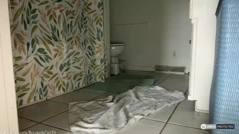 boysetsfire34 online show from February 2026 05:53:02 PM