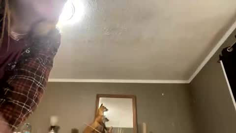 bps276 online show from February 2026 08:27:02 AM