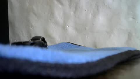 Snapshot of brad2717 chatting on December 2024 12:40:02 PM brad2717 online show from December 2024 12:40:02 PM