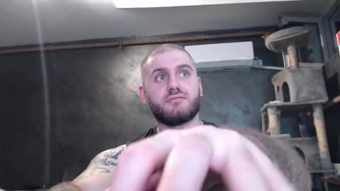 Snapshot of brad_pittfall chatting on November 2025 07:38:01 PM ask me online show from November 2025 07:38:01 PM