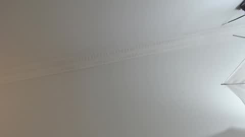 BrandonCole online show from February 2025 12:29:01 PM