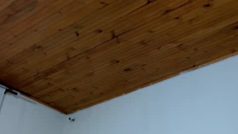 Brandon online show from March 2026 12:17:01 AM