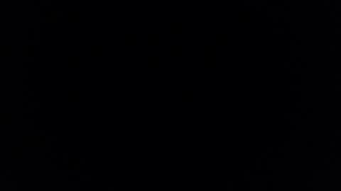 Brandy online show from February 2026 11:13:01 AM