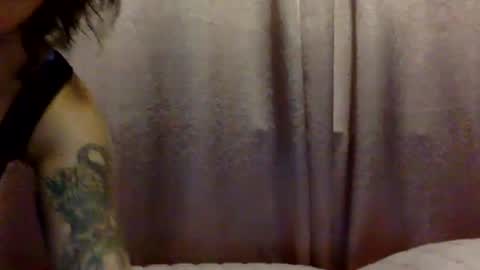 Snapshot of brasilierabrat chatting on June 2026 02:33:02 AM brasilierabrat online show from June 2026 02:33:02 AM