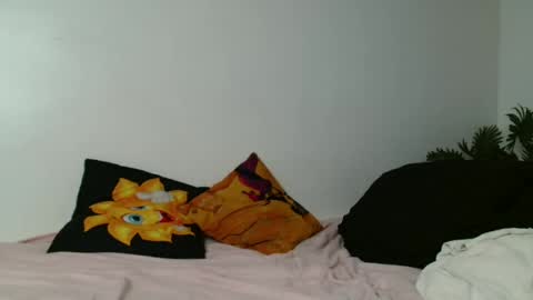 breelia online show from July 2026 07:23:02 AM
