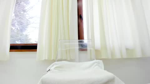 Brenda online show from February 2025 07:29:01 AM