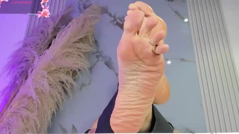 Snapshot of bridgetrodriguez chatting on February 2026 12:05:02 PM online show from February 2026 12:05:02 PM