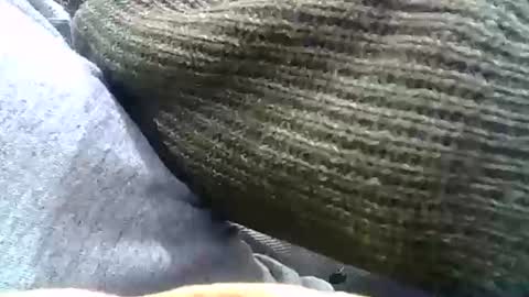 Josh online show from December 2024 02:29:02 AM