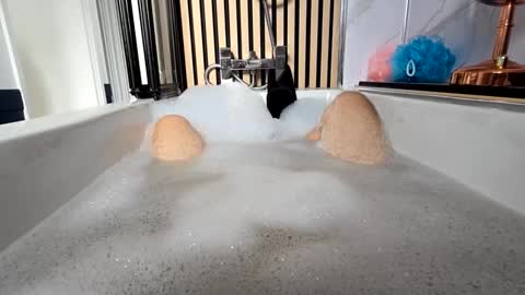 Snapshot of britishbigdick_ chatting on September 2025 12:50:01 PM britishbigdick_ online show from September 2025 12:50:01 PM